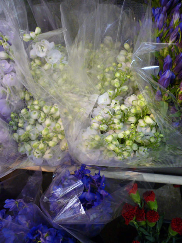 スプレーデルフィニューム1ロット10本 白 １本250円 K140