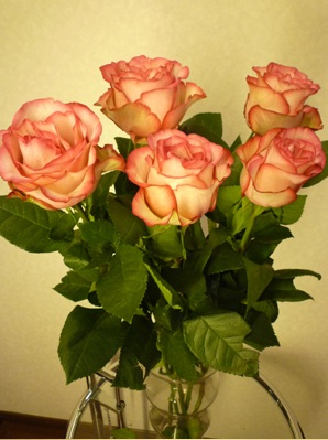 oց@1bg10{ ~sN P{350~I 