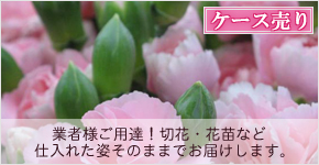 ケース売り